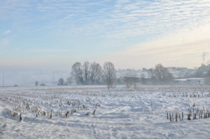 FontenayNeige4